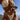 Chain Detail Tied Bikini Set - The Fashion Unicorn