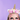 Unicorn Subscription Box - The Fashion Unicorn